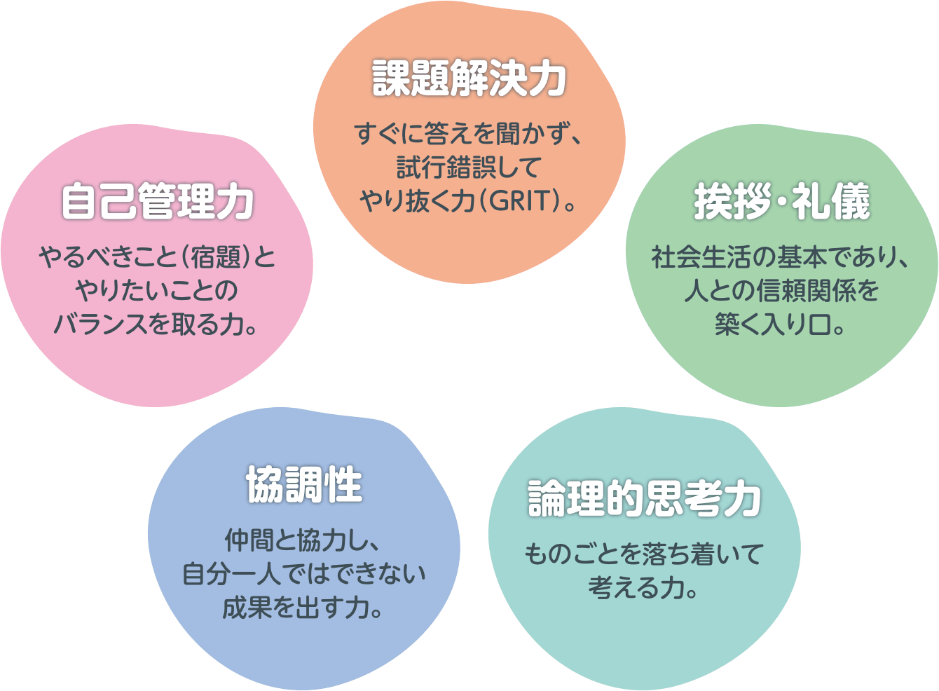 
          課題解決力：すぐに答えを聞かず、試行錯誤してやり抜く力（GRIT）。
          自己管理力：やるべきこと（宿題）とやりたいことのバランスを取る力。
          挨拶・礼儀：社会生活の基本であり、人との信頼関係を築く入り口。
          協調性：仲間と協力し、自分一人ではできない成果を出す力。
          論理的思考力：ものごとを落ち着いて考える力。