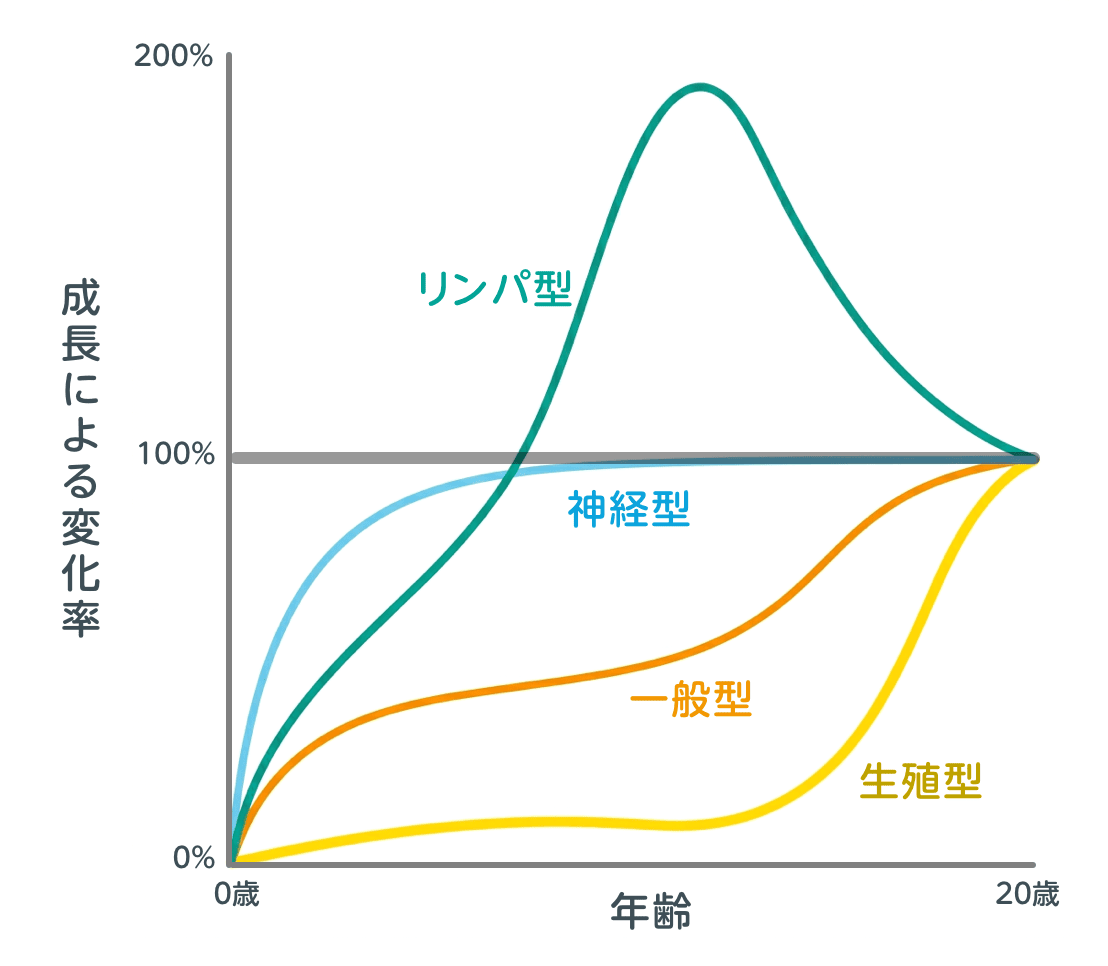 スキャモンの発育曲線